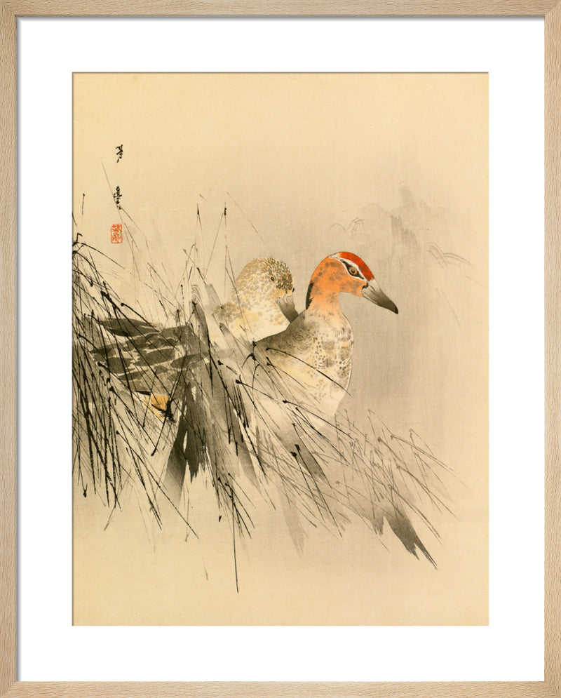 Ducks in Reeds by Anonymous Chinese Artist. Framed art print.
