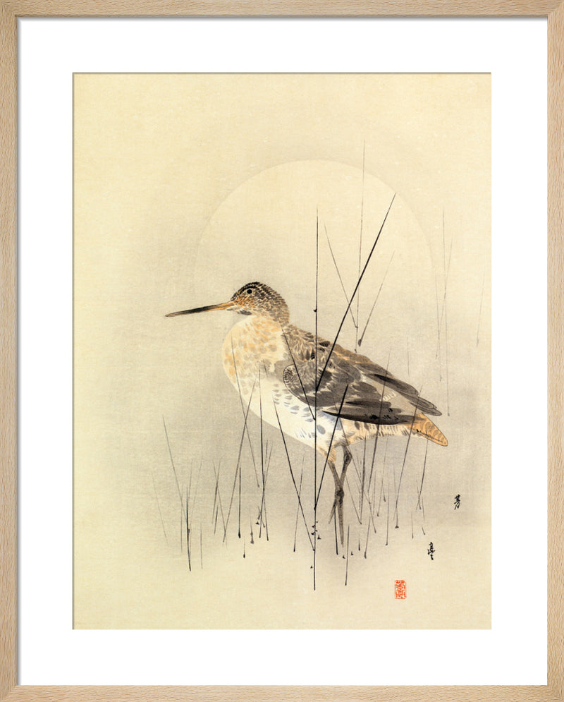 Godwit by Anonymous Chinese Artist. Framed art print.