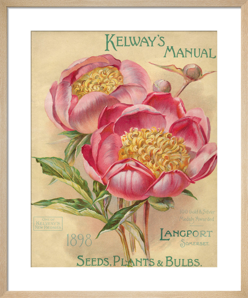 Kelway's Manual. Plants, Seeds and Bulbs by Kelways. Framed art print.