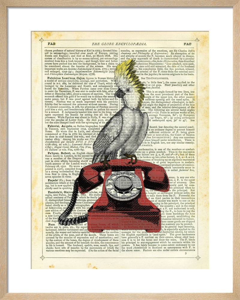 Cockatoo on Telephone by Marion McConaghie. Framed art print.