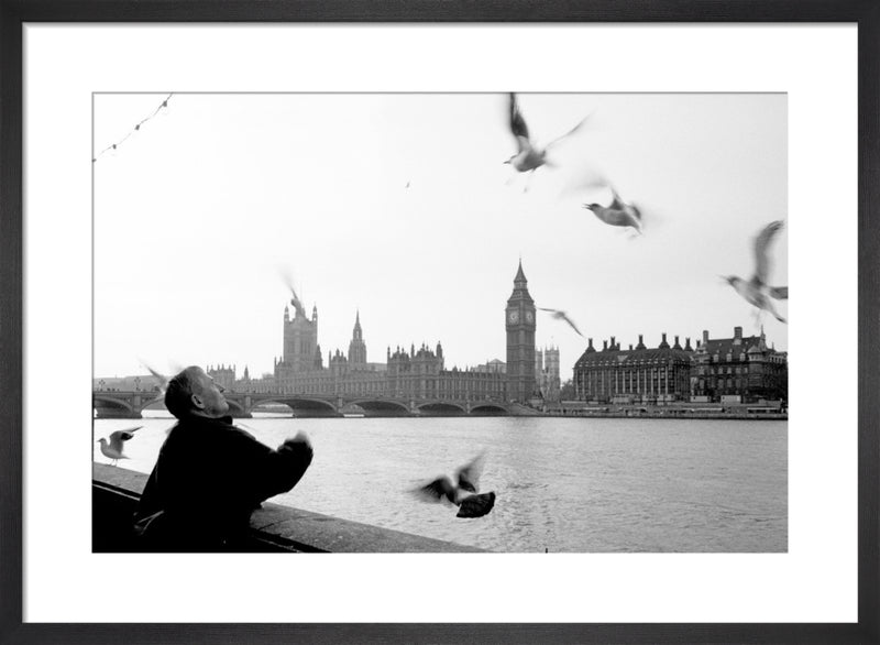 The gull feeder, River Thames by Niki Gorick. Framed art print.