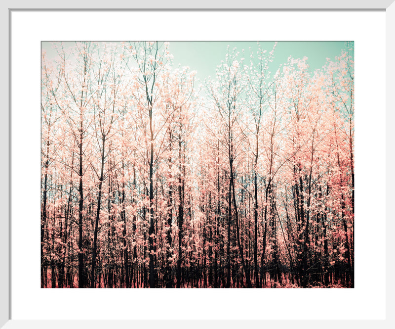 Awash by Robert Cadloff. Framed art print.
