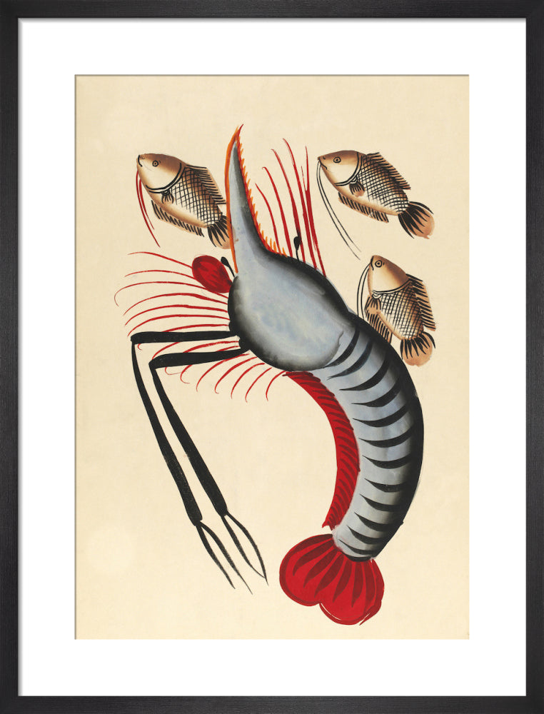 Prawn with three fishes, c.1940 by Unknown artist. Framed art print.