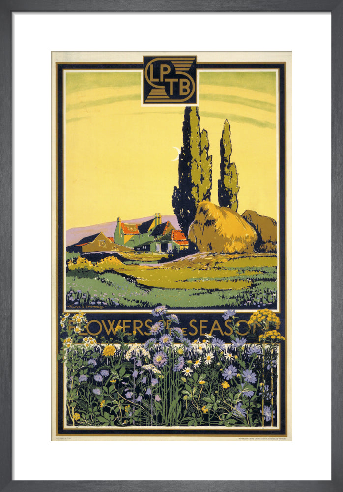 Flowers of the season, 1933 by Walter E Spradbery. Framed art print.