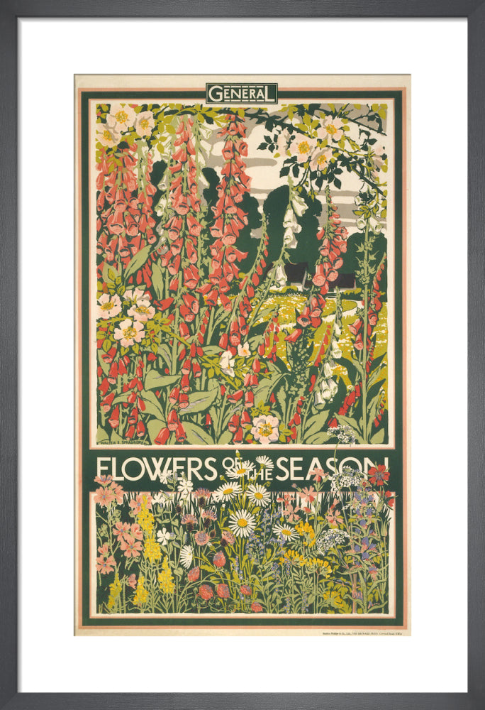 Flowers of the season, 1933 by Walter E Spradbery. Framed art print.