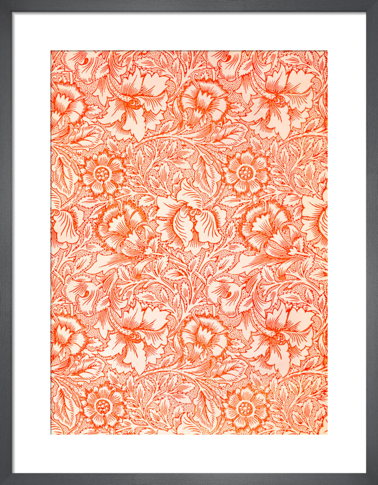 Pink and Poppy by William Morris. Framed art print.