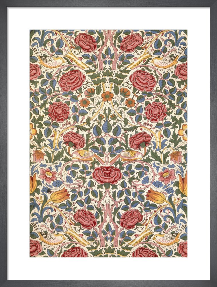 Rose furnishing fabric, 1883 by William Morris. Unframed art print.