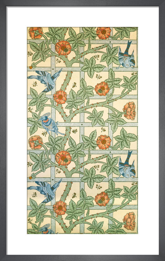 Trellis by William Morris. Framed art print.