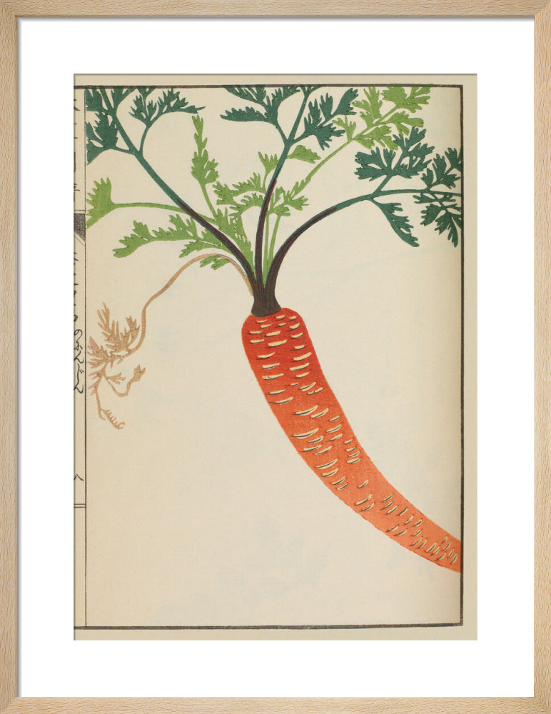 RHS Botanical Fruit & Vegetables Prints Posters UK