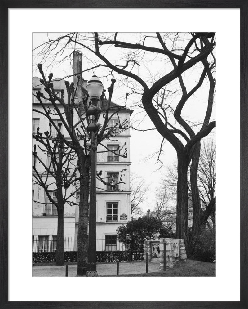 Winter Trees by Alan Scales. Framed art print.