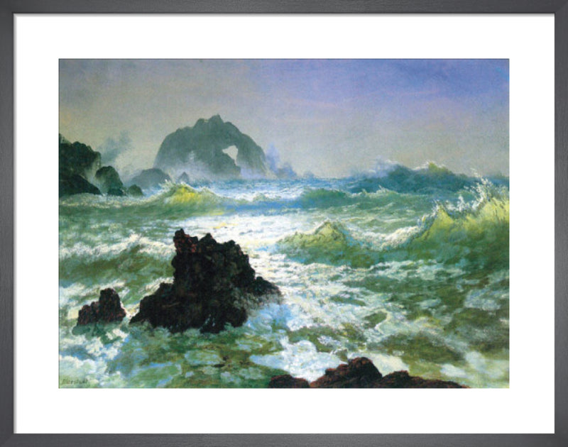 Seal Rock by Albert Bierstadt. Framed art print.