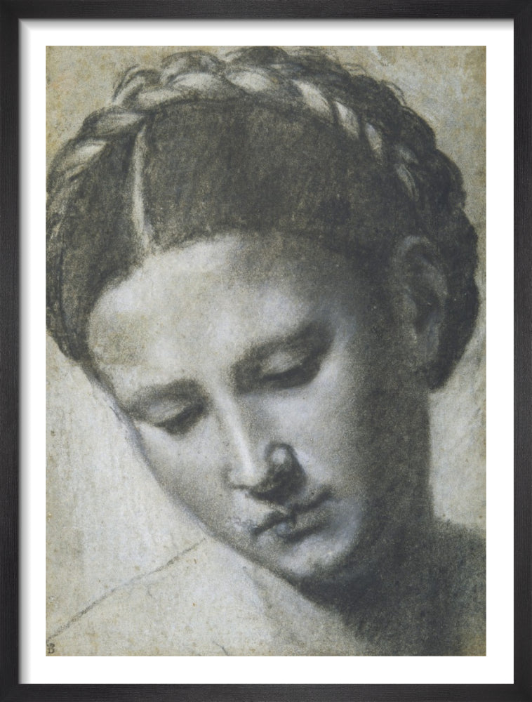 A woman's head with braided hair by Alessandro Bonvicino Moretto. Framed art print.