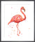 Flamingo by Alison Fennell. Framed art print.