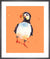 Puffin Daredevil by Alison Fennell. Framed art print.