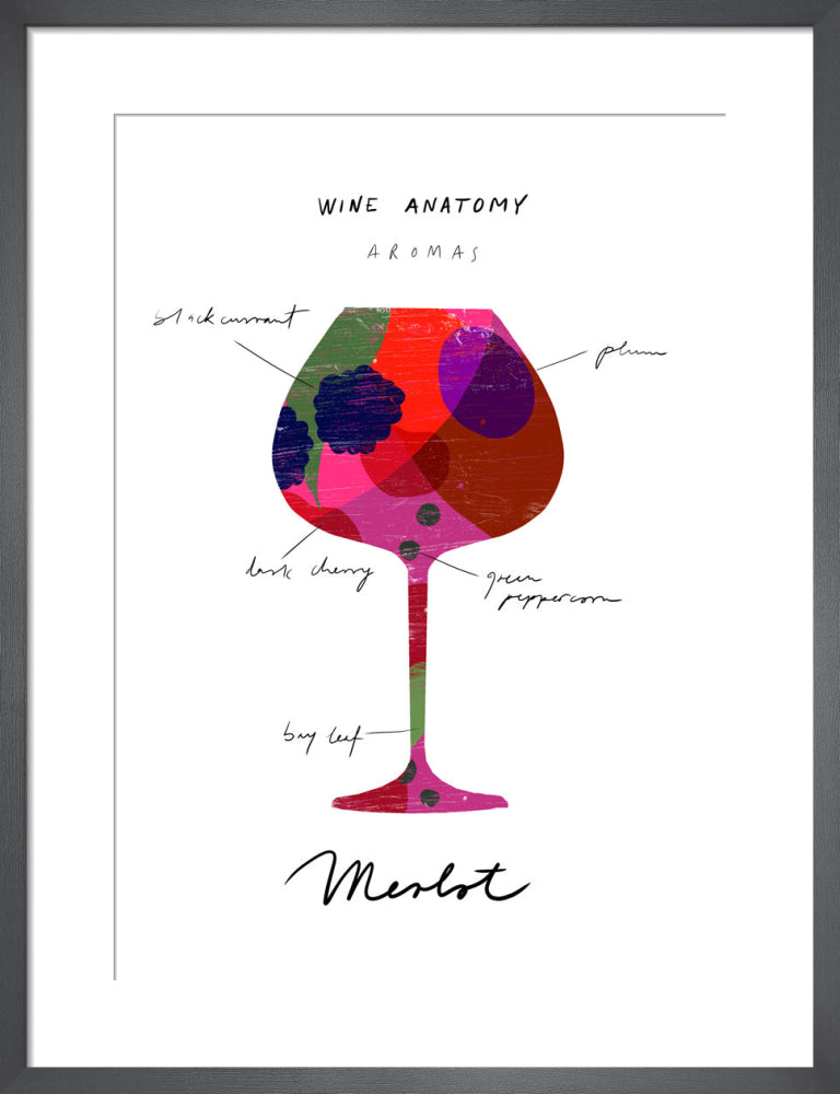 Wine Anatomy: Merlot by Ana Zaja Petrak. Framed art print.