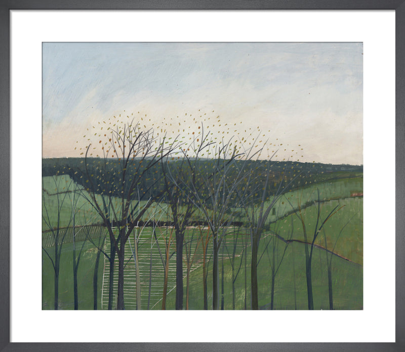 Bengrove by Andrew Lansley. Framed art print.