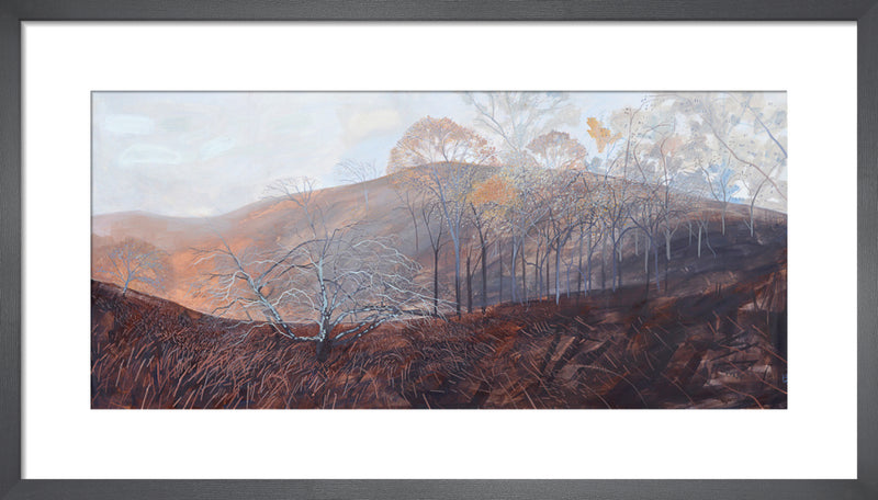 Combestone Wood by Andrew Lansley. Framed art print.