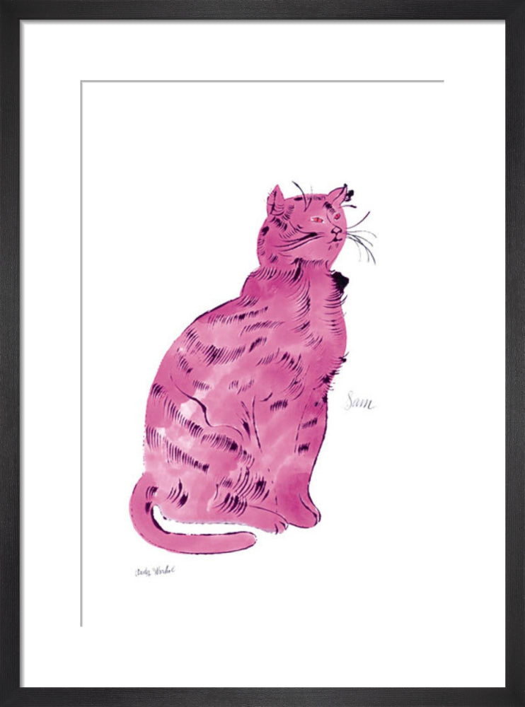 Pink Sam, c.1954 by Andy Warhol. Framed art print.