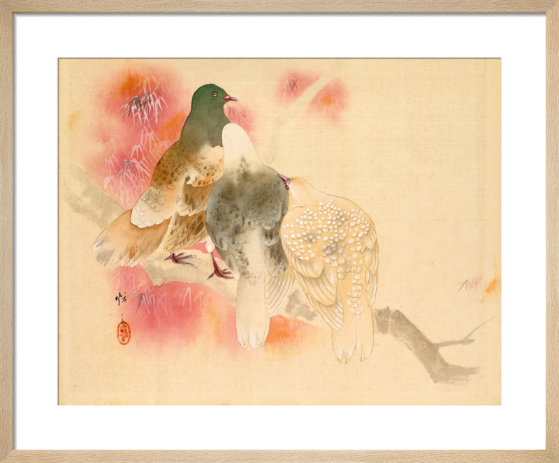 Pigeons by Anonymous Chinese Artist. Framed art print.