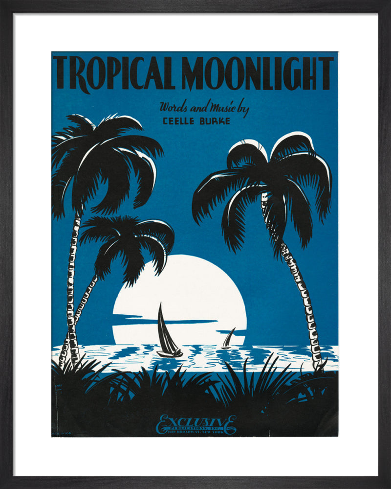 Tropical Moonlight by Anonymous. Framed art print.