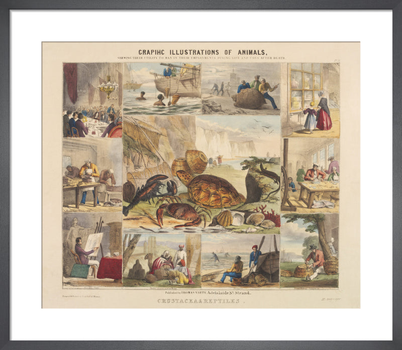 Crustacea & Reptiles by Benjamin Waterhouse Hawkins. Framed art print.