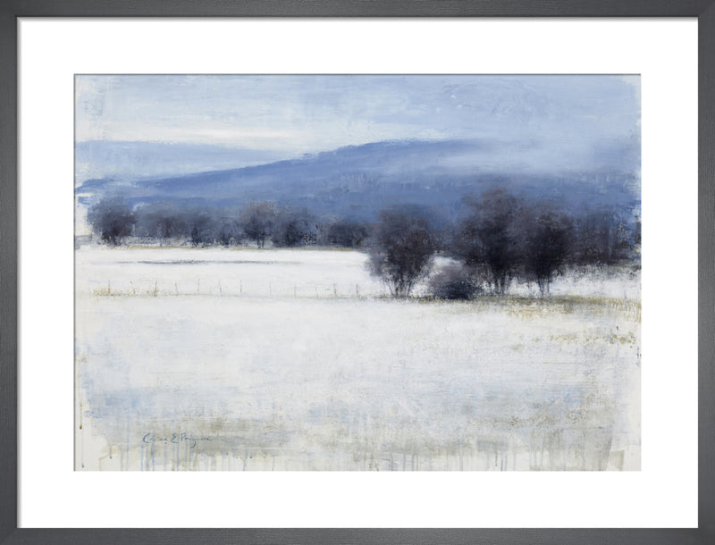 Beyond the Fences by Carina Prigmore. Framed art print.