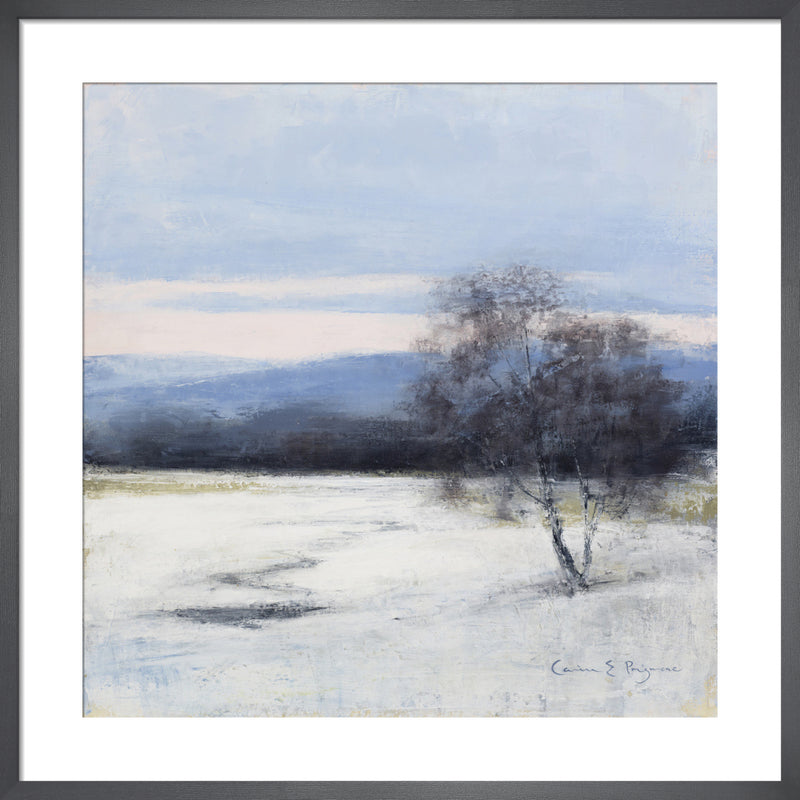 Twilight by Carina Prigmore. Framed art print.