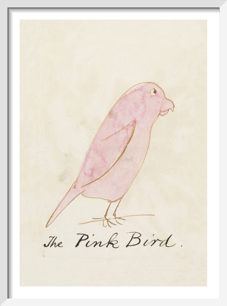 The Pink Bird by Edward Lear. Framed art print.