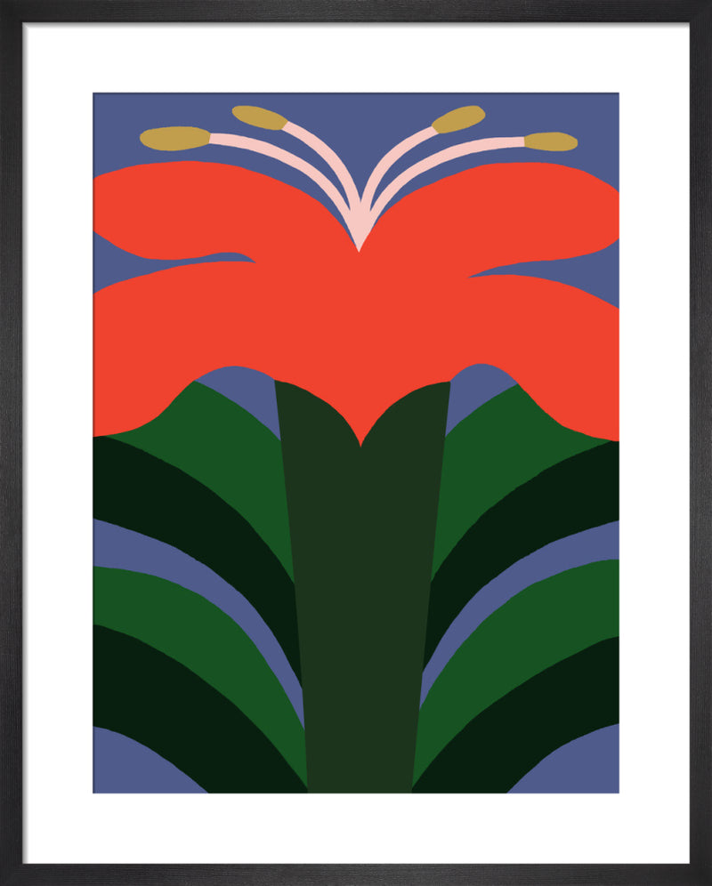 December Flower by Eija Vehviläinen. Unframed art print.