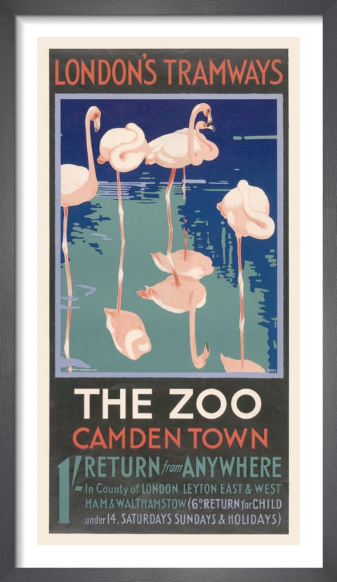 The Zoo Camden Town by The Zoo Camden Town. Framed art print.