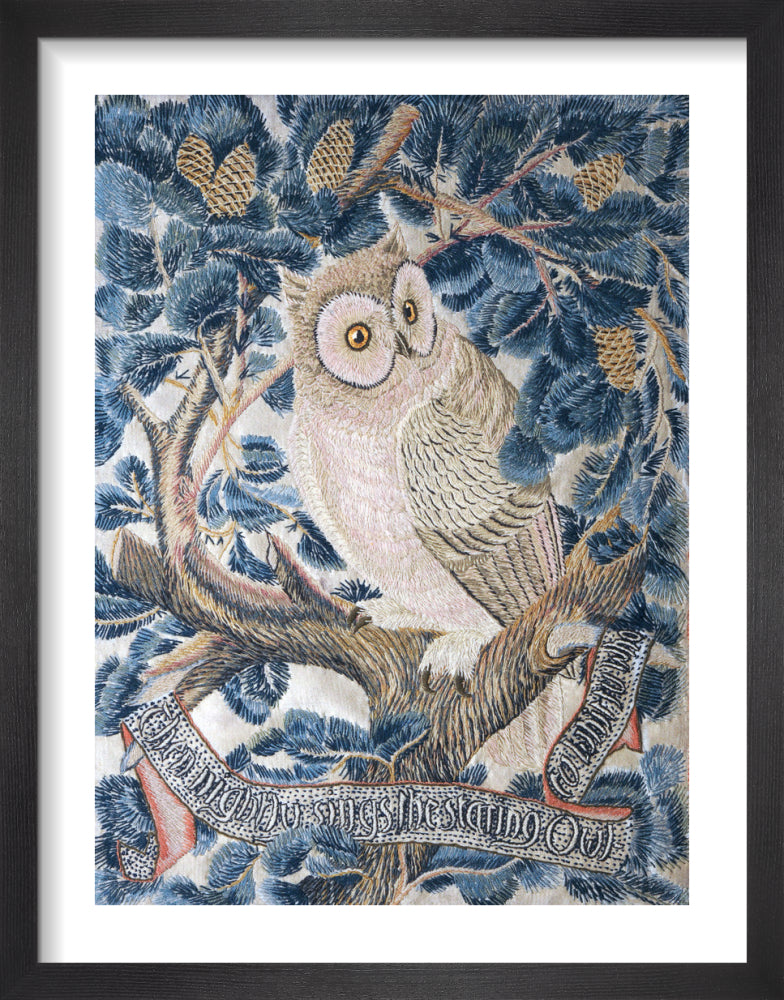 Owl by George Jack. Framed art print.