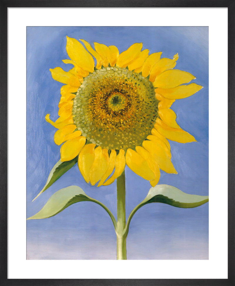 Sunflower, New Mexico, 1935 by Georgia O'Keeffe. Framed art print.
