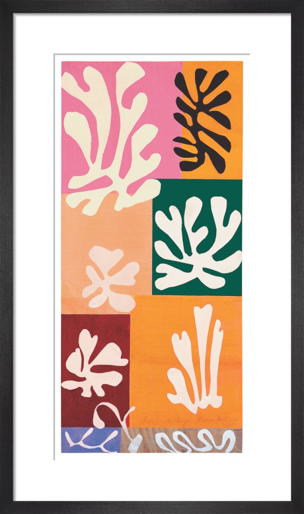 Snow Flowers, 1951 by Henri Matisse. Framed art print.