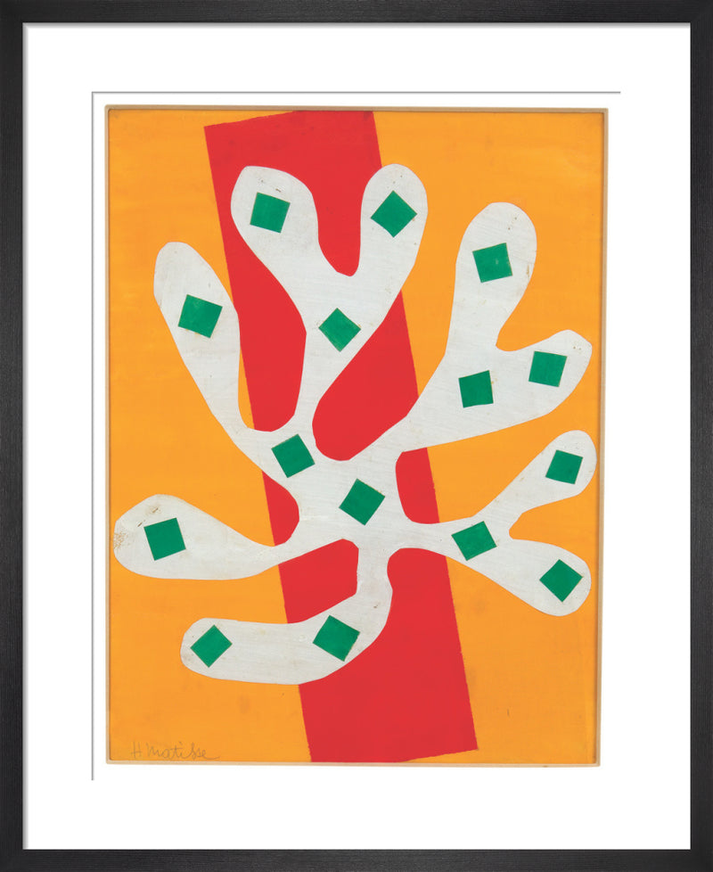 White Alga on Orange and Red, 1947 by Henri Matisse. Framed art print.
