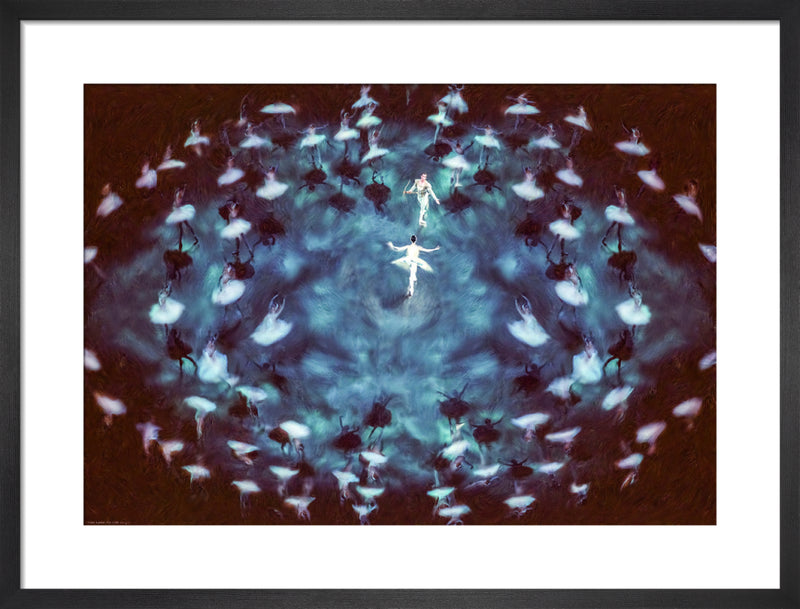 Swan Lake, Royal Albert Hall by Henry Reichhold. Framed art print.