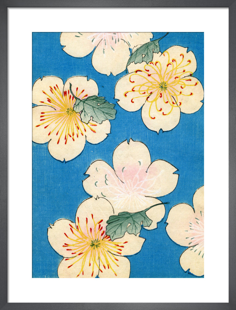 Dogwood Blossoms on Blue, 1882 by Japanese School (19th century). Unframed art print.
