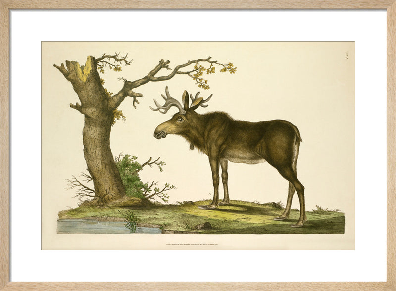 Tab X by John Miller. Framed art print.