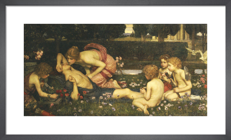 The Awakening of Adonis, 1899 by John William Waterhouse. Framed art print.
