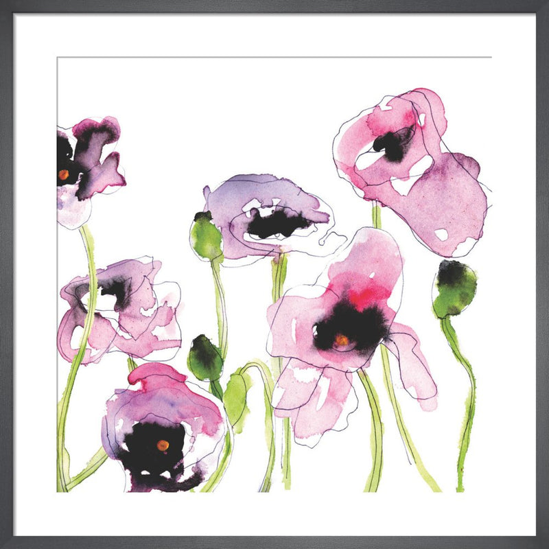 Wild Poppies by Louise Cunningham. Framed art print.