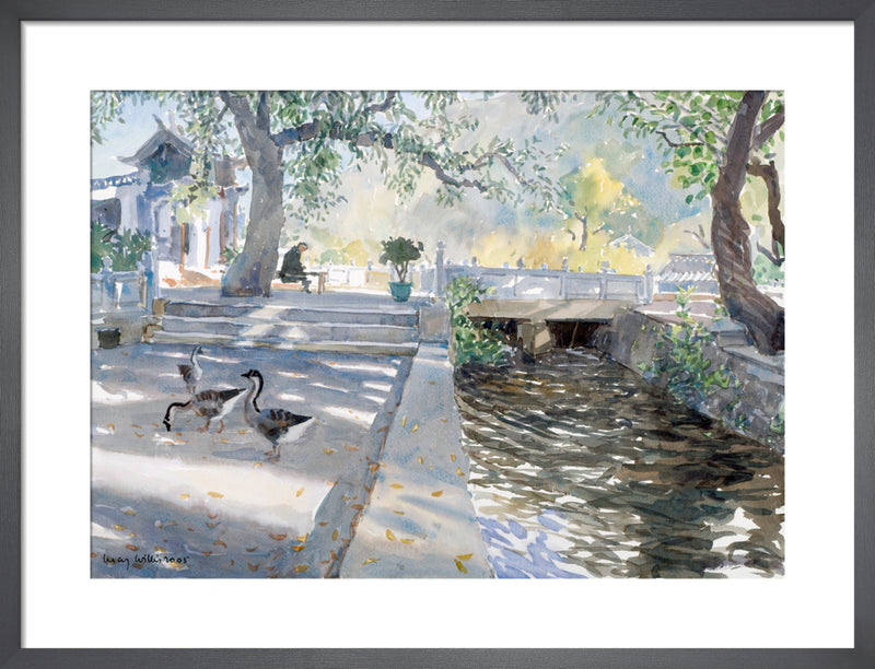Chinese Geese by Lucy Willis. Framed art print.