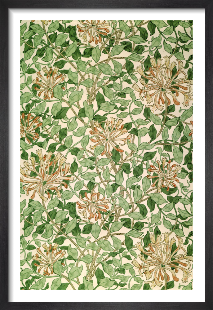 Honeysuckle by May Morris. Framed art print.