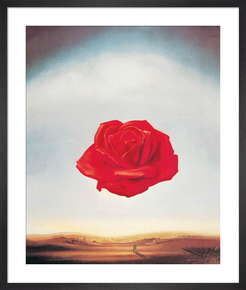 The Meditative Rose - Salvador Dali Print - Framed Art UK