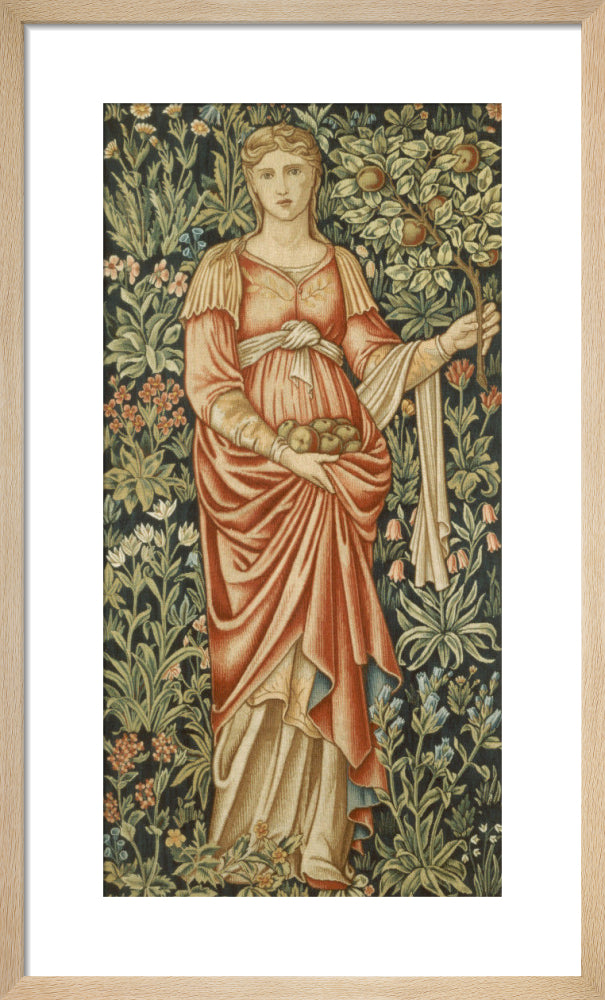 Pomona, 1884 by Sir Edward Burne-Jones. Framed art print.