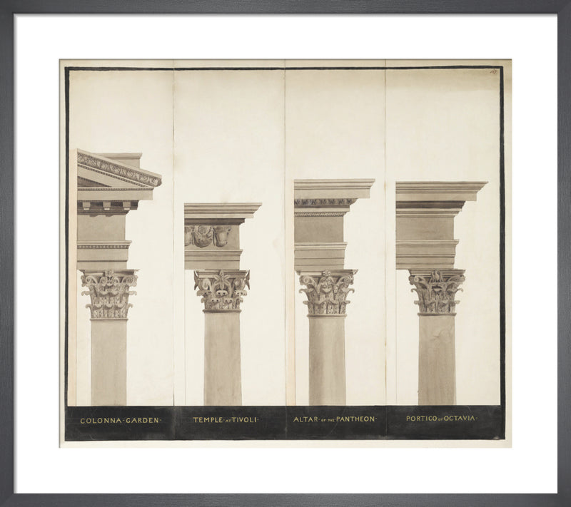 Roman Corinthian orders by The Soane Office. Framed art print.