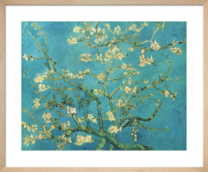 Almond Blossom, 1890 by Vincent Van Gogh. Framed art print.