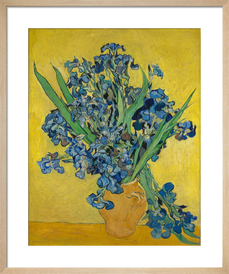 Irises, Saint-Rémy-de-Provence, 1890 by Vincent Van Gogh. Framed art print.