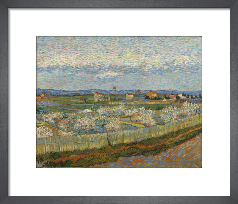 Peach blossom in the Crau by Vincent Van Gogh. Framed art print.