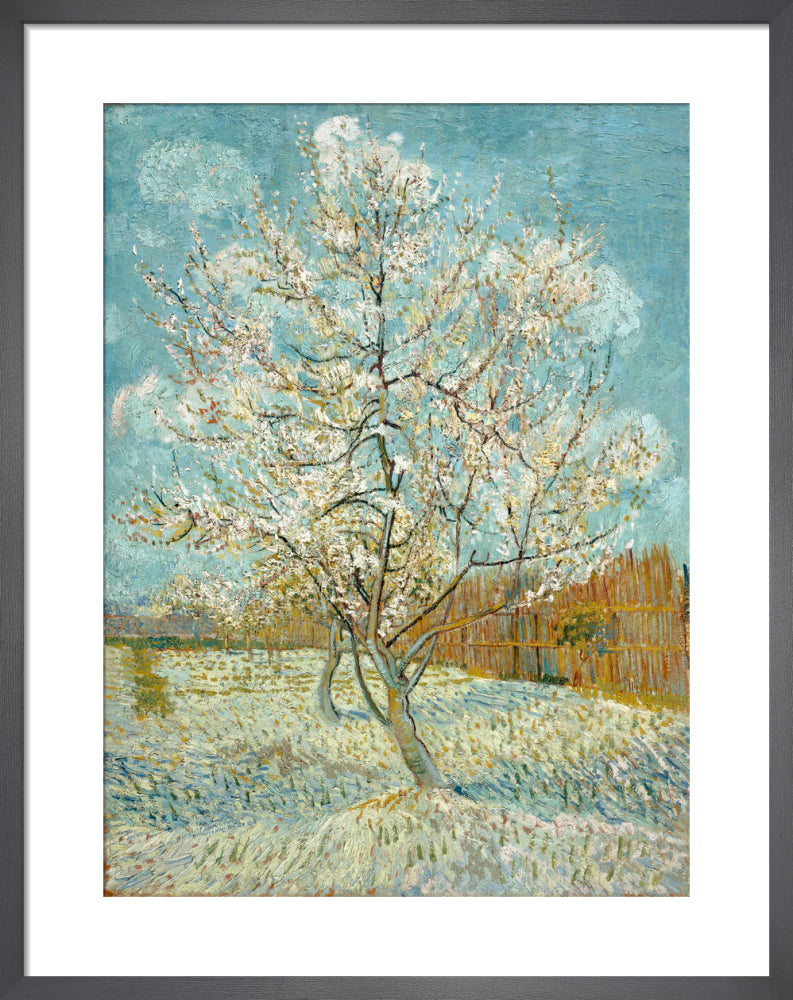 The Pink Peach Tree, 1888 by Vincent Van Gogh. Framed art print.