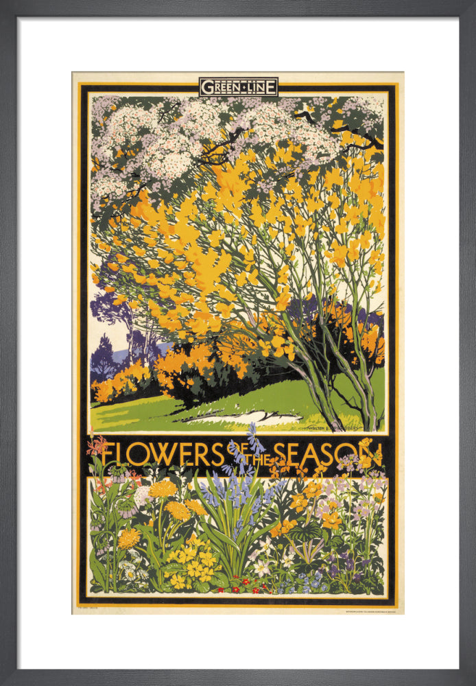 Flowers of the season, 1933 by Walter E Spradbery. Framed art print.