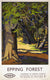 Rambles in Epping Forest by Anonymous. Unframed art print.